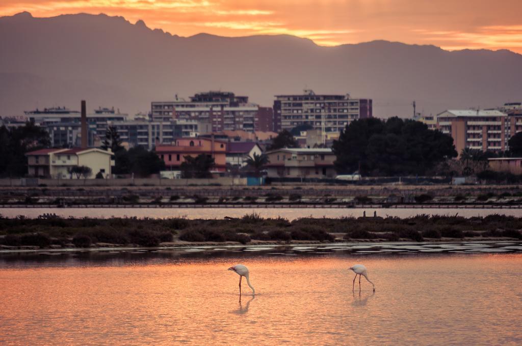 Il Gallo Bianco Hotel Cagliari Luaran gambar